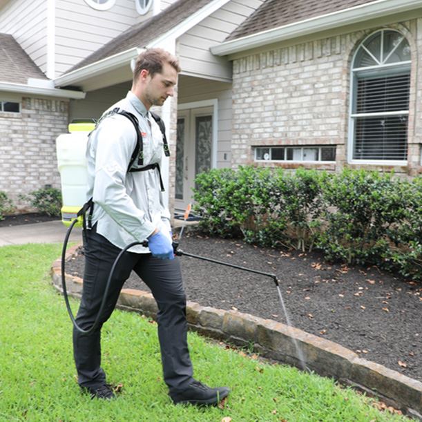 Home Pest Control In Houston, TX | H-Town Home Service